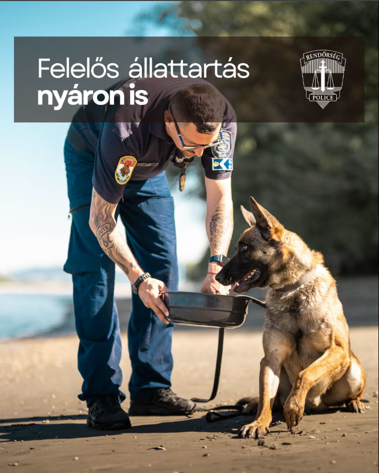 Felelős állattartás nyáron